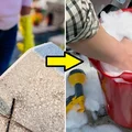 Jak szybko i sprawnie wyczyścić grób? Wystarczy jeden produkt z supermarketu!