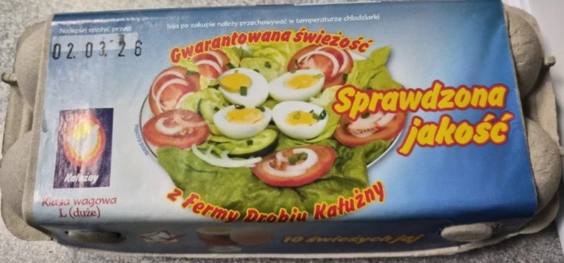 Groźna Salmonella na skorupkach jaj – pełny poradnik, jak chronić siebie i rodzinę