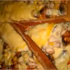 Pizza z wędzonym kurczakiem na cieście z prażoną cebulką