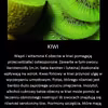 Niezwykłe właściwości kiwi o których nie wiesz!
