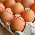 Nie jedz jajek z Biedronki i Carrefour. SĄ SKAŻONE – informuje Główny Lekarz Weterynarii