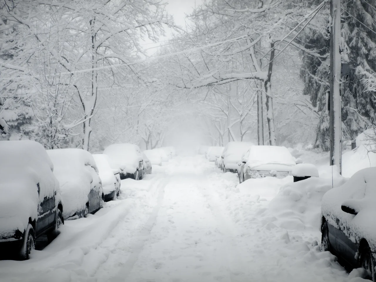 Tragiczny bilans burzy śnieżnej w USA. Kilkadziesiąt osób nie żyje