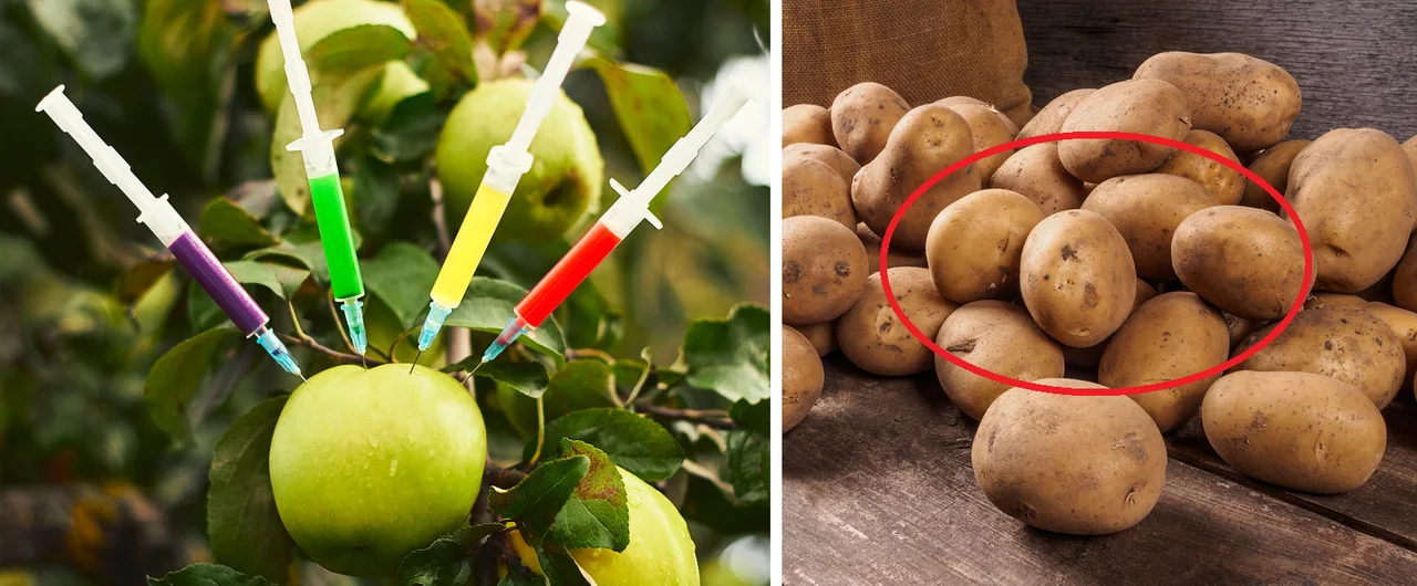 Aktualny raport EWG – najbardziej toksyczne owoce i warzywa