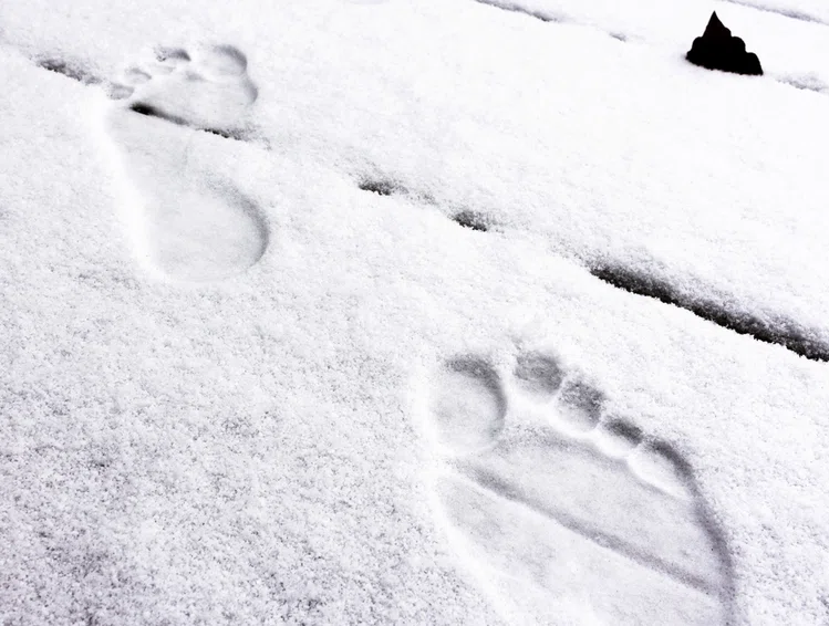 Zdjęcie Czy warto chodzić boso po śniegu? Poznaj głównych 7 korzyści #1