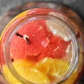 Nalewka z cytryn, grejpfrutów i pomarańczy