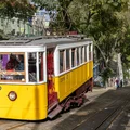 Nowe ustalenia po wypadku kolejki Gloria w Lizbonie. Media ujawniają przemilczane informacje!