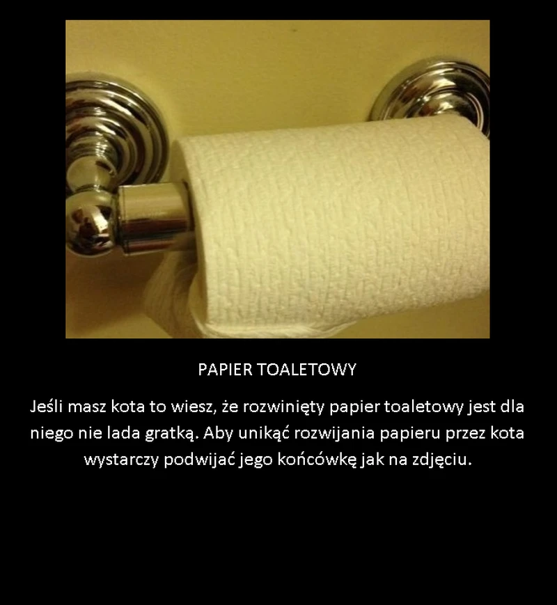 Praktyczny pomysł dla właścicieli kotów