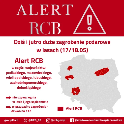 Zdjęcie Czerwony alarm w polskich lasach! Jakie regiony są najbardziej zagrożone? #1