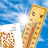 Nadciągają ekstremalne upały! Polskę czeka szok temperaturowy! Znamy datę