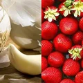 Te warzywa i owoce najlepiej jeść na surowo. Po obróbce tracą mnóstwo cennych właściwości