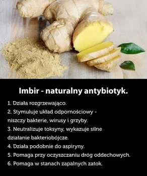 Imbir - naturalny antybiotyk.