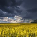 Planujesz wyjazd na długi weekend? Oto, co mówi prognoza pogody!