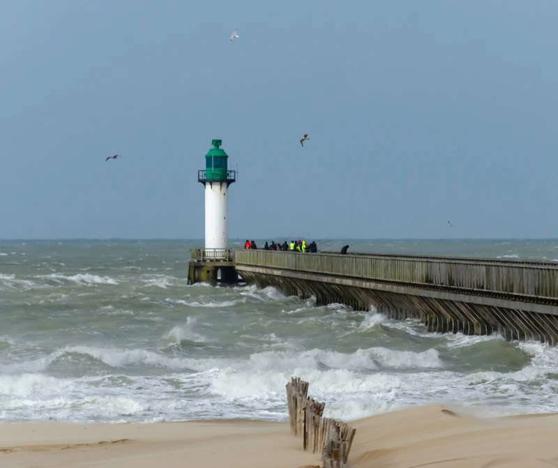 Nadciągają wichury i roztopy! Możliwe alerty IMGW.