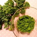 Pesto z jarmużu