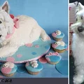 Torcik dla pupila