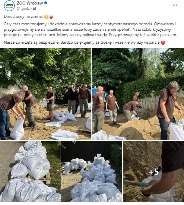 Zdjęcie Wrocławskie ZOO wydało komunikat w sprawie zwierząt! "Przygotowujemy się na wszelkie scenariusze" #1