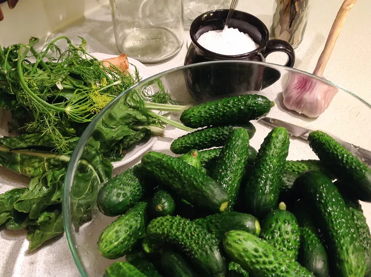 Zdjęcie Ogórki małosolne na sucho? O co chodzi w tym przepisie? #1