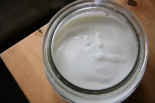 Domowy jogurt