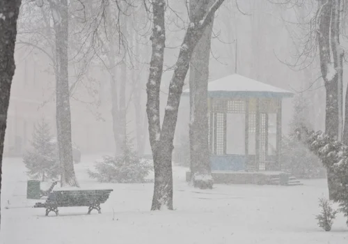 Ekstremalny mróz i porywisty wiatr nad Polską! IMGW wydało pilne ostrzeżenia meteorologiczne!