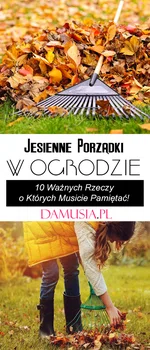Jesienne Porządki w Ogrodzie – 10 Ważnych Rzeczy o Których Musicie Pamiętać!