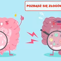 Wypróbuj mieszankę która OCZYŚCI TWOJE JELITA