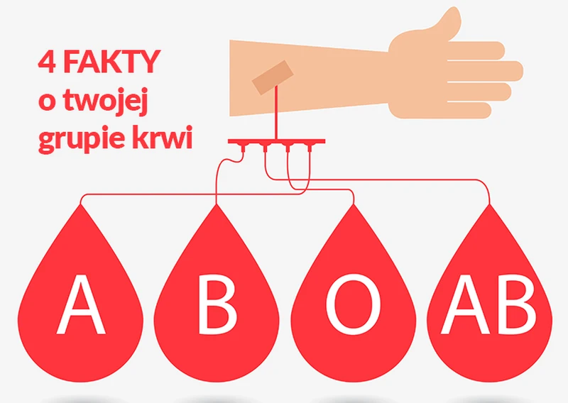 4 fakty o twojej grupie krwi. Nie masz pojęcia, co o tobie mówi!