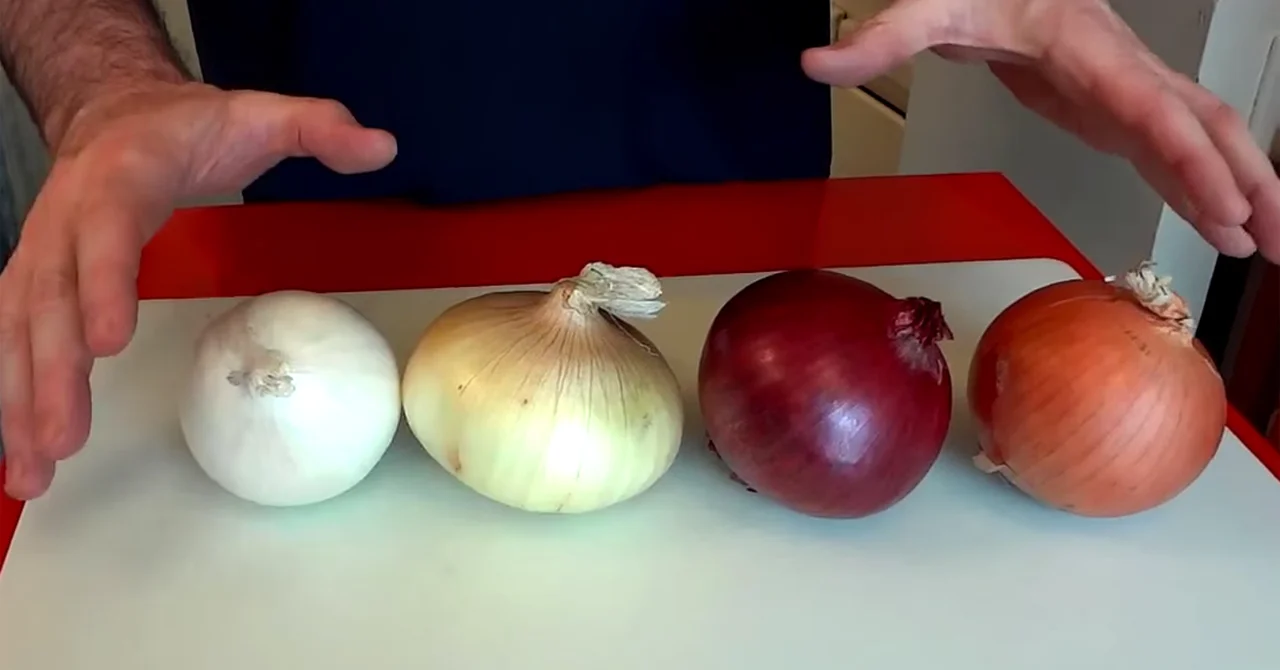 Cebula cebuli nierówna! Zobacz czym się różnią. Rodzaje cebuli i ich zastosowanie.