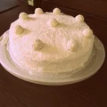 Tort Raffaello
