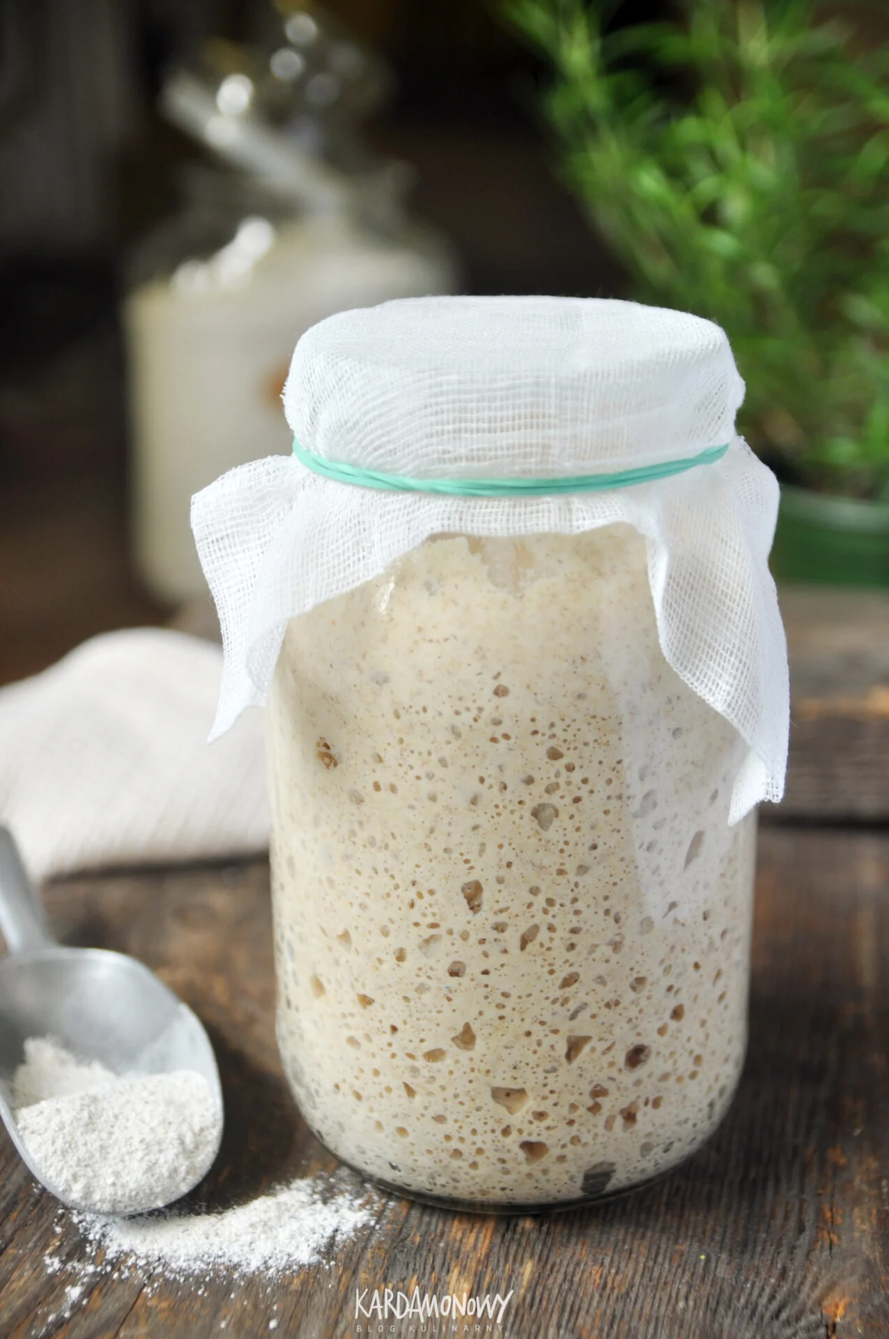 Zakwas żytni na chleb