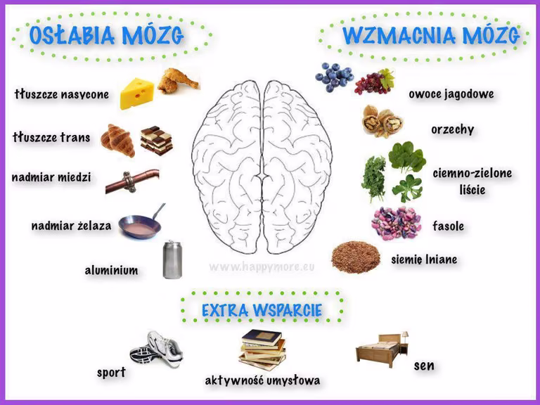 CO WZMACNIA – OSŁABIA MÓZG ?