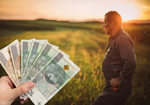 Polskie rolnictwo w kryzysie! Minister zapowiada miliardowe wsparcie