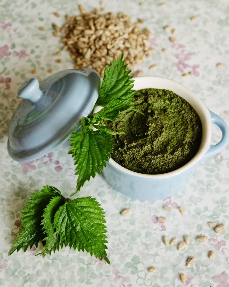 Pesto z pokrzywy i słonecznika