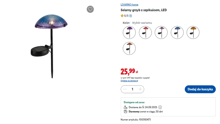 Zdjęcie Te urocze solarne lampki z Lidla będą hitem jesieni! Tylko 26 zł, bez kabli i rachunków,  a efekt jak z zaczarowanego ogrodu #1