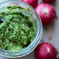 Pesto z pietruszki i liści rzodkiewki