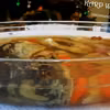 Karp w Galarecie