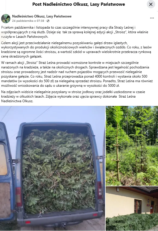 Zdjęcie Uwaga na takie stroiki na cmentarz! Ruszyły kontrole i akcja "Stroisz" - sypią się mandaty po 500 złotych #1