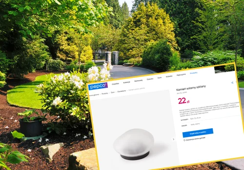 Te piękne kamienie solarne z Pepco rozświetlą Twój ogród lub podjazd za grosze! Efekt jak z katalogu!