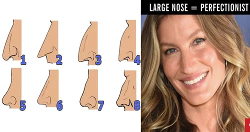Jaki jest kształt twojego nosa? To wiele mówi o twojej osobowości
