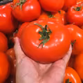 Co szypułka mówi o pomidorze? TEN szczegół ma wielkie znaczenie!