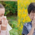 Przeziębienie czy alergia? Jak je odróżnić?