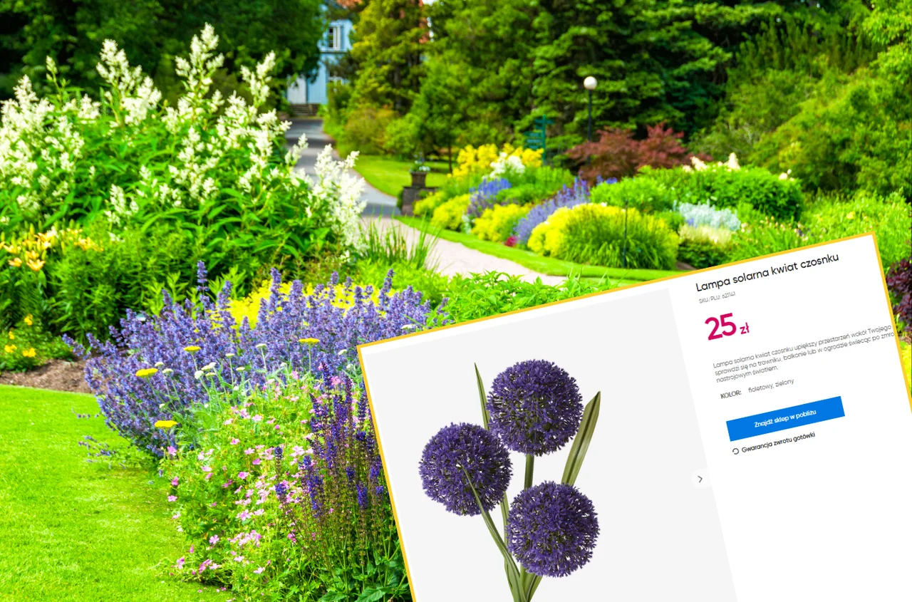 Te lampa solarna za 25 zł z Pepco to HIT! Wygląda jak prawdziwy kwiat, a dodatkowo świeci w ciemności