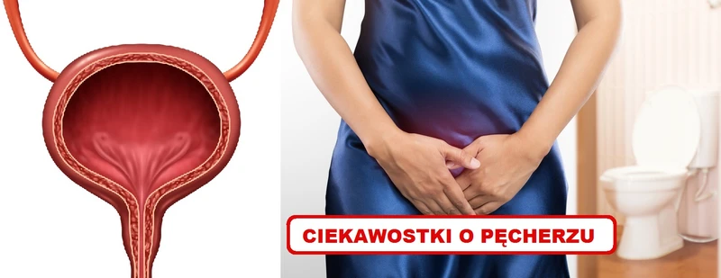 Tego o swoim PĘCHERZU na pewno nie wiedziałaś!