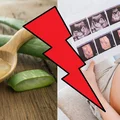 Aloes - roślina lecznicza, nie dla wszystkich!