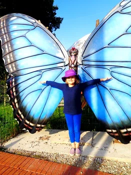 Cząstka tropiku nad Bałtykiem - Motylarnia w Niechorzu