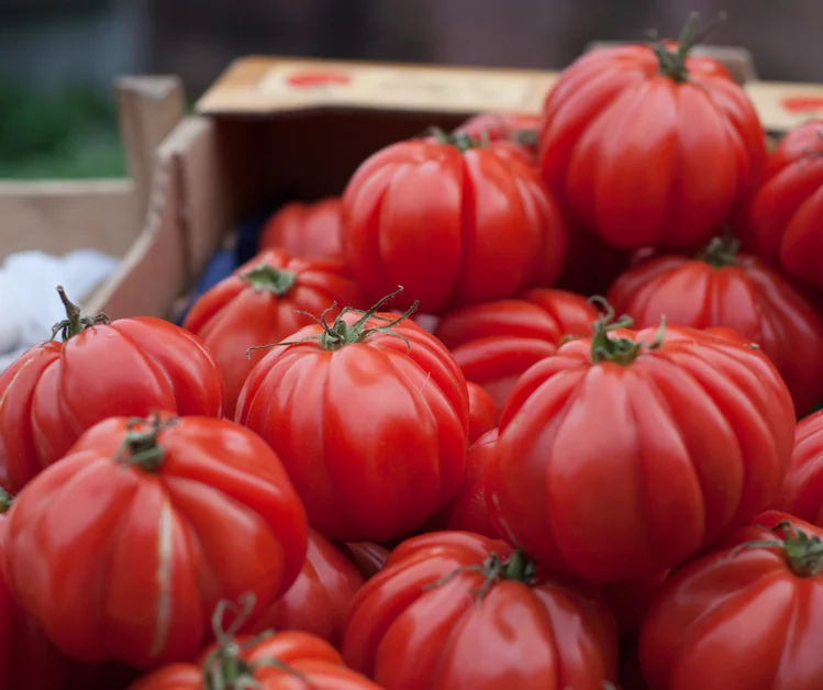 Zdjęcie Jak wybrać smacznego pomidora? 5 cennych wskazówek #1
