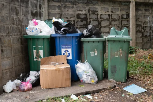 Kary za niewłaściwą segregację: Możesz zapłacić za śmieci sąsiada!
