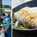 Ryby pochodzące z Chin – niektóre z nich mogą być TRUJĄCE!