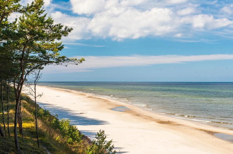Uwaga na sinice! Lista zamkniętych plaż nad Bałtykiem!