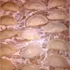 Pierogi z kapustą i grzybami. Pierogi świąteczne.