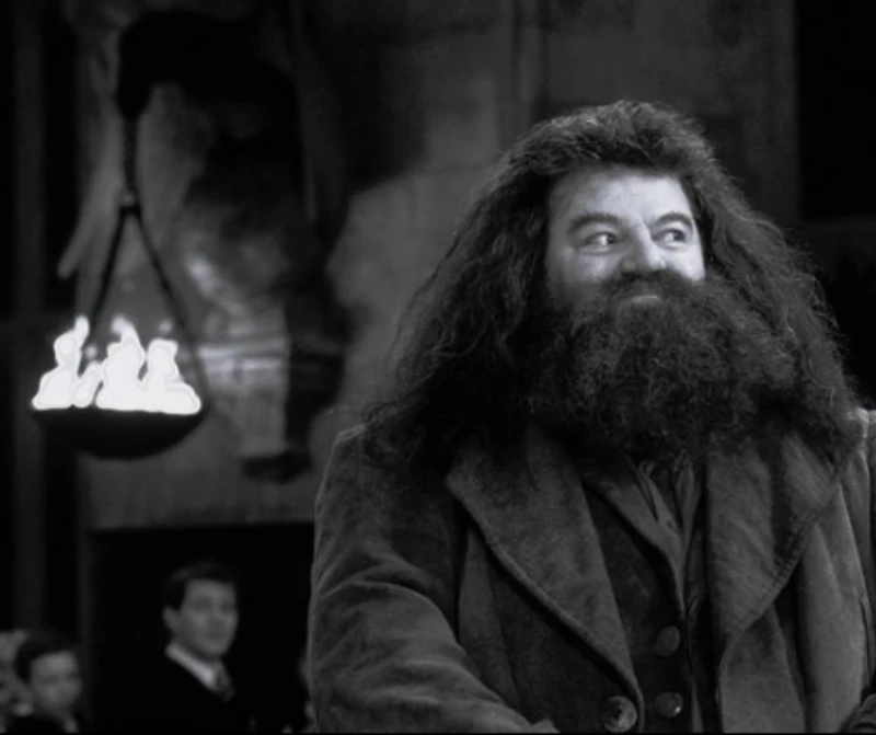 Aktor znany z  filmów o Harrym Potterze nie żyje!